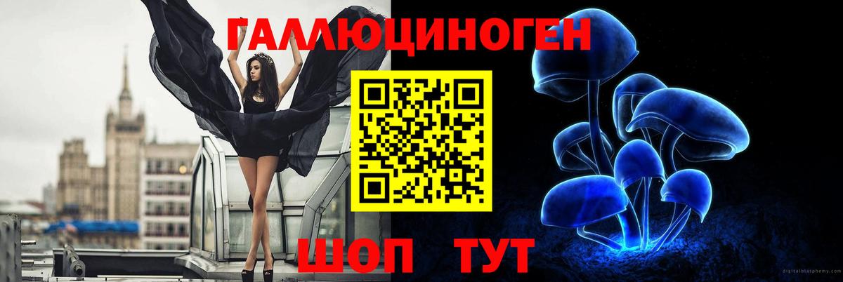 Галлюциногенные грибы Psilocybe Ковров